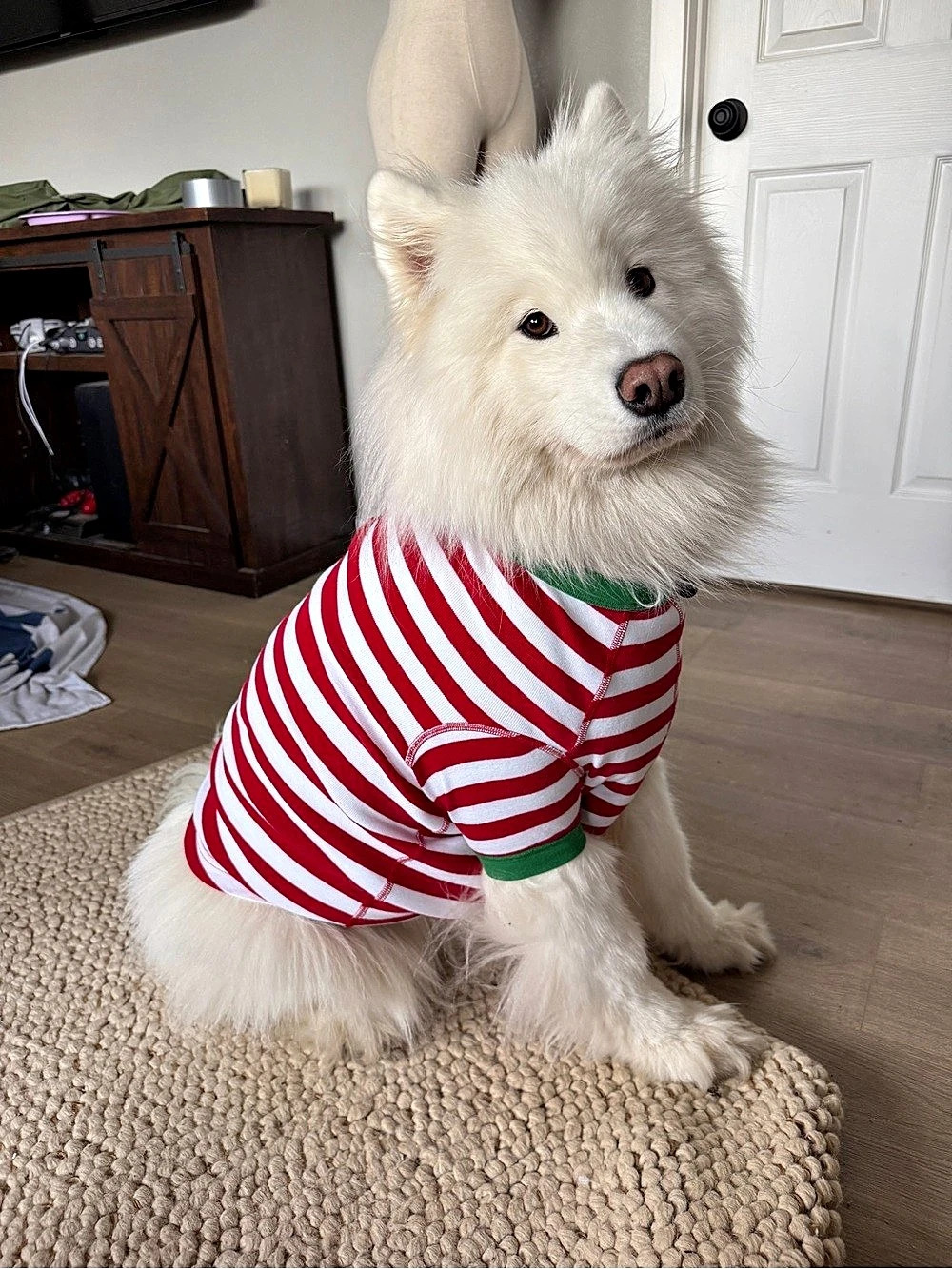 Hanna Andersson Holiday Dog Pajamas Red & White Striped XL